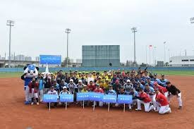 牌类博弈的系统性（牌类博弈的系统论视角）